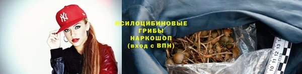 гашик Балахна