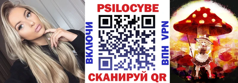 Галлюциногенные грибы Psilocybe  где продают наркотики  Кремёнки 